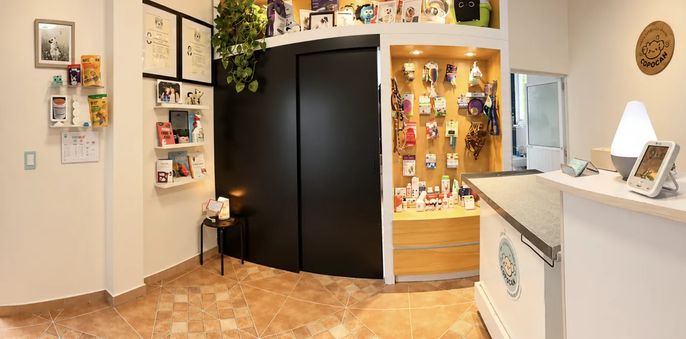 Interior de Copocan: recepción con mostrador, exhibidor de productos para mascotas y pared con cuadros y el logo de Copocan